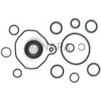 Power Steering Pump Seal Kit