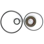 Power Steering Pump Seal Kit