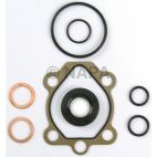 Power Steering Pump Seal Kit
