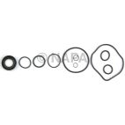 Power Steering Pump Seal Kit