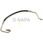 Power Steering Pressure Hose