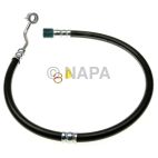 Power Steering Pressure Hose