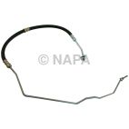 Power Steering Pressure Hose