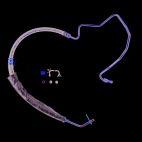 Power Steering Pressure Hose
