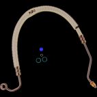Power Steering Pressure Hose