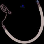 Power Steering Pressure Hose