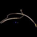 Power Steering Pressure Hose