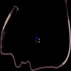 Power Steering Pressure Hose
