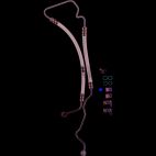 Power Steering Pressure Hose