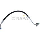 Power Steering Pressure Hose