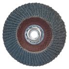 4.5 in Flap Disc 80g
