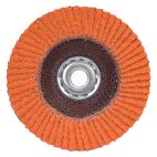 4.5 in Flap Disc 40g