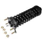 Suspension Strut Assembly