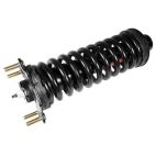 Suspension Strut Assembly
