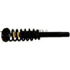 Suspension Strut Assembly