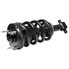 Suspension Strut Assembly