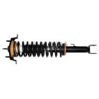 Suspension Strut Assembly