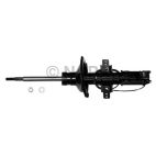Suspension Strut
