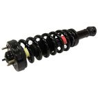 Suspension Strut Assembly