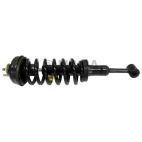 Suspension Strut Assembly