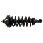 Suspension Strut Assembly