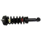Suspension Strut Assembly