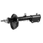 Suspension Strut