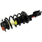 Suspension Strut Assembly