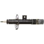 Suspension Strut