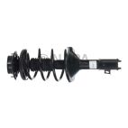 Suspension Strut Assembly