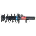 Suspension Strut Assembly