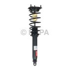 Suspension Strut Assembly