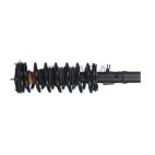 Suspension Strut Assembly