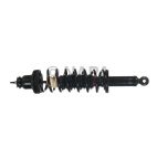 Suspension Strut Assembly