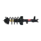 Suspension Strut Assembly
