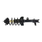 Suspension Strut Assembly