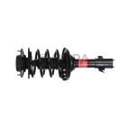 Suspension Strut Assembly