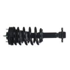 Suspension Strut Assembly