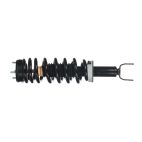 Suspension Strut Assembly