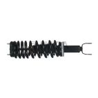 Suspension Strut Assembly