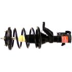 Suspension Strut Assembly