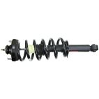 Suspension Strut Assembly