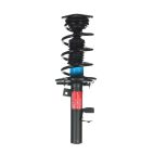 Suspension Strut Assembly