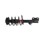 Suspension Strut Assembly