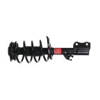 Suspension Strut Assembly