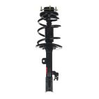 Suspension Strut Assembly