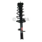 Suspension Strut Assembly