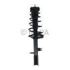 Suspension Strut Assembly