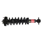 Suspension Strut Assembly