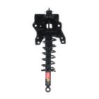 Suspension Strut Assembly